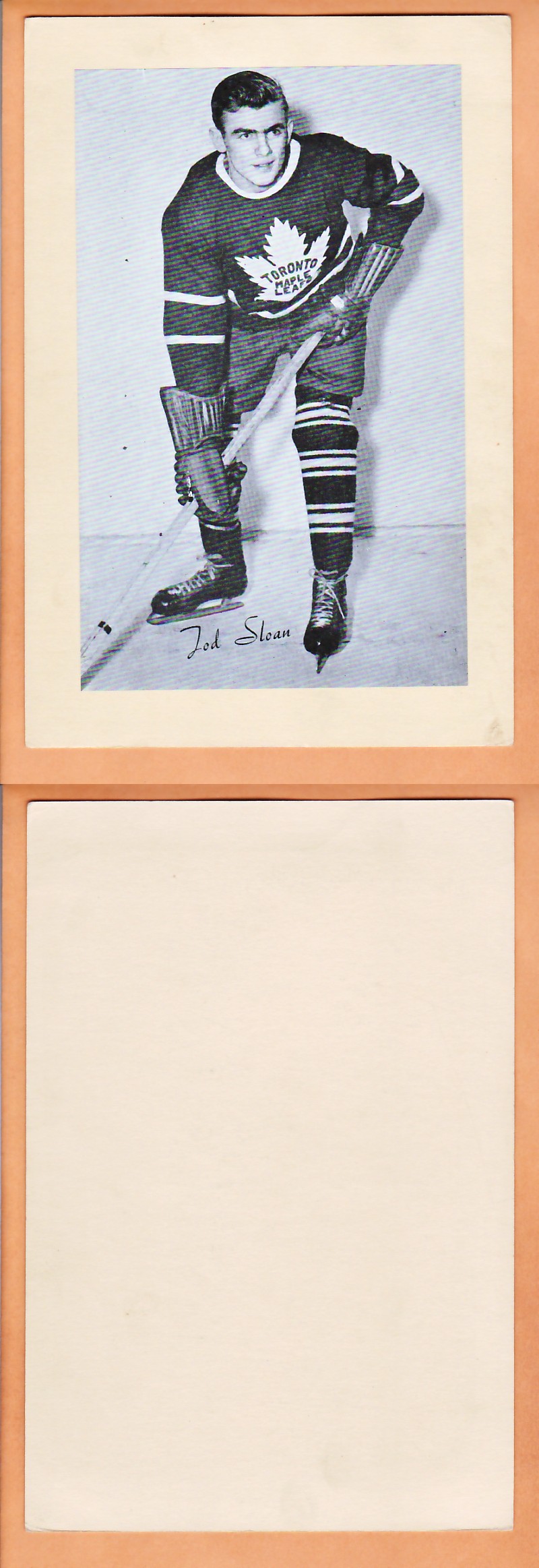 1945-64 BEEHIVE PHOTO GR.2 T.SLOAN photo 1945-64 BEEHIVE PHOTO GR.2 T.SLOAN photo