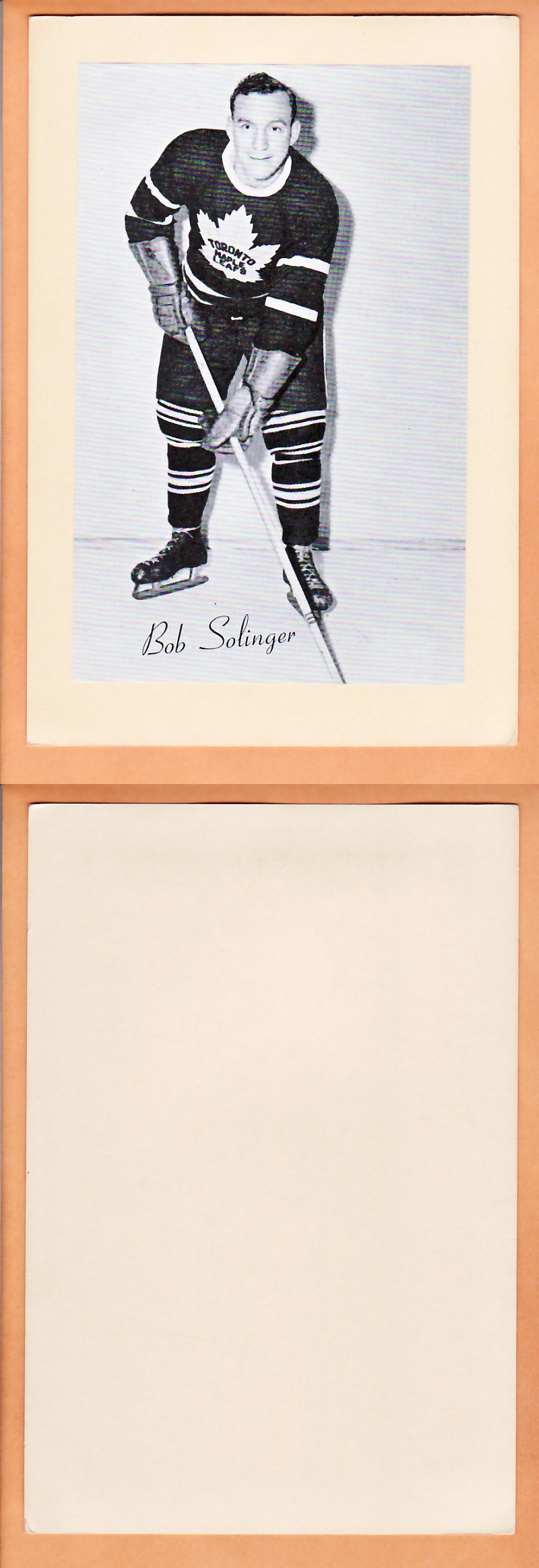 1945-64 BEEHIVE PHOTO GR.2 B.SOLINGER photo 1945-64 BEEHIVE PHOTO GR.2 B.SOLINGER photo
