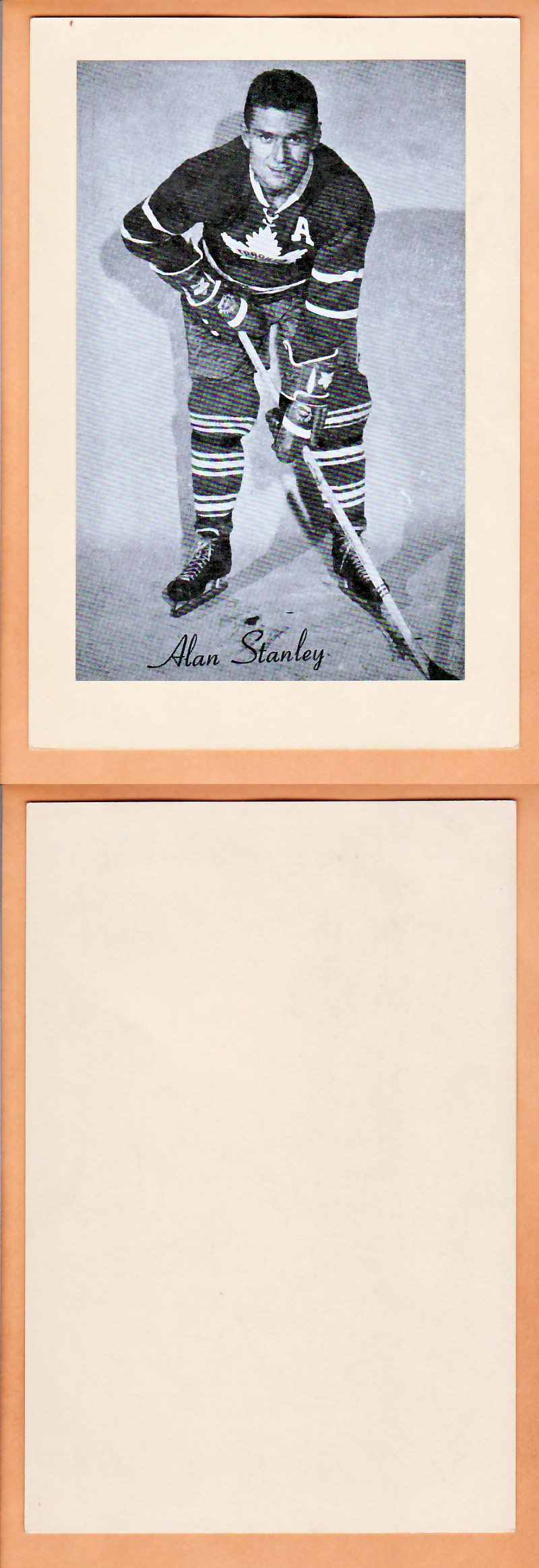 1945-64 BEEHIVE PHOTO GR.2 A.STANLEY V.1 photo 1945-64 BEEHIVE PHOTO GR.2 A.STANLEY V.1 photo