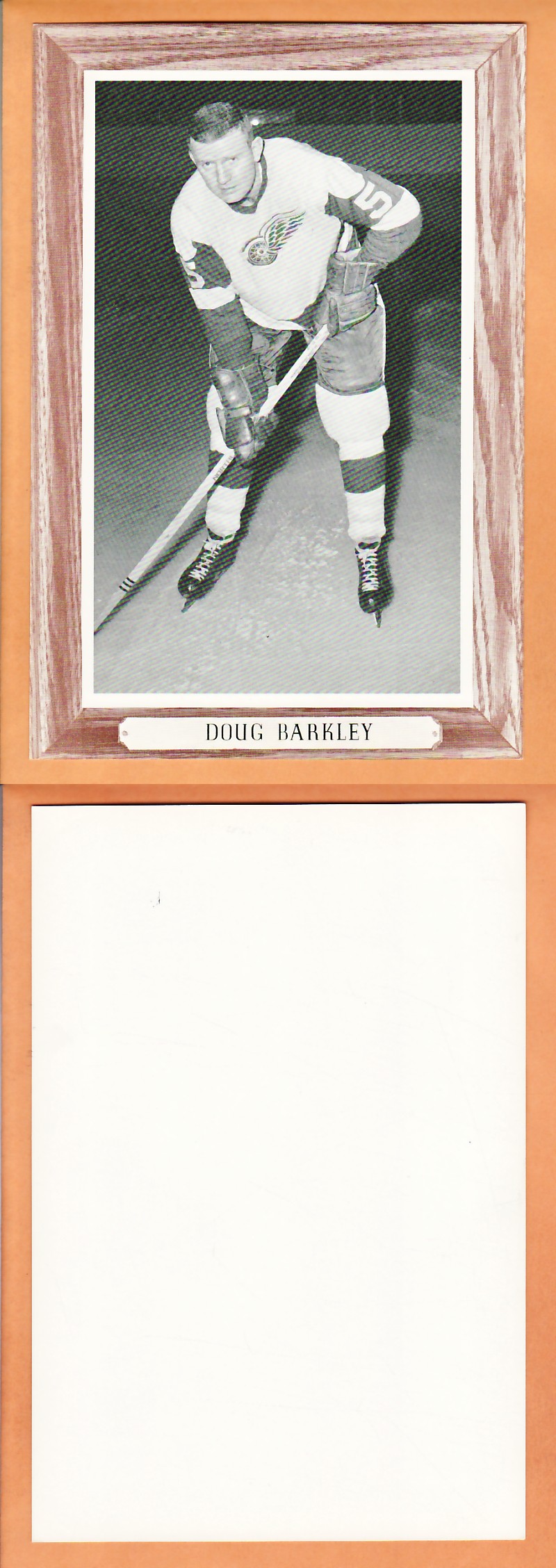1964-67BEEHIVE PHOTO GR.3 D.BARKLEY photo 1964-67BEEHIVE PHOTO GR.3 D.BARKLEY photo