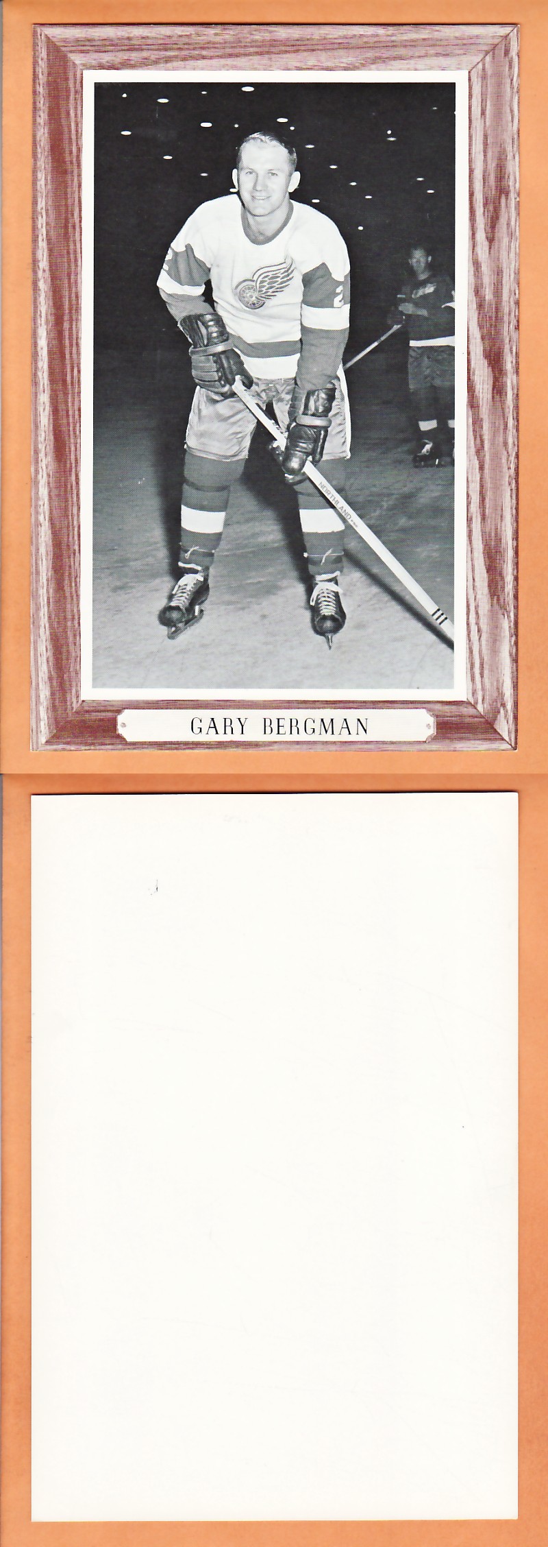 1964-67BEEHIVE PHOTO GR.3 G.BERGMAN photo 1964-67BEEHIVE PHOTO GR.3 G.BERGMAN photo