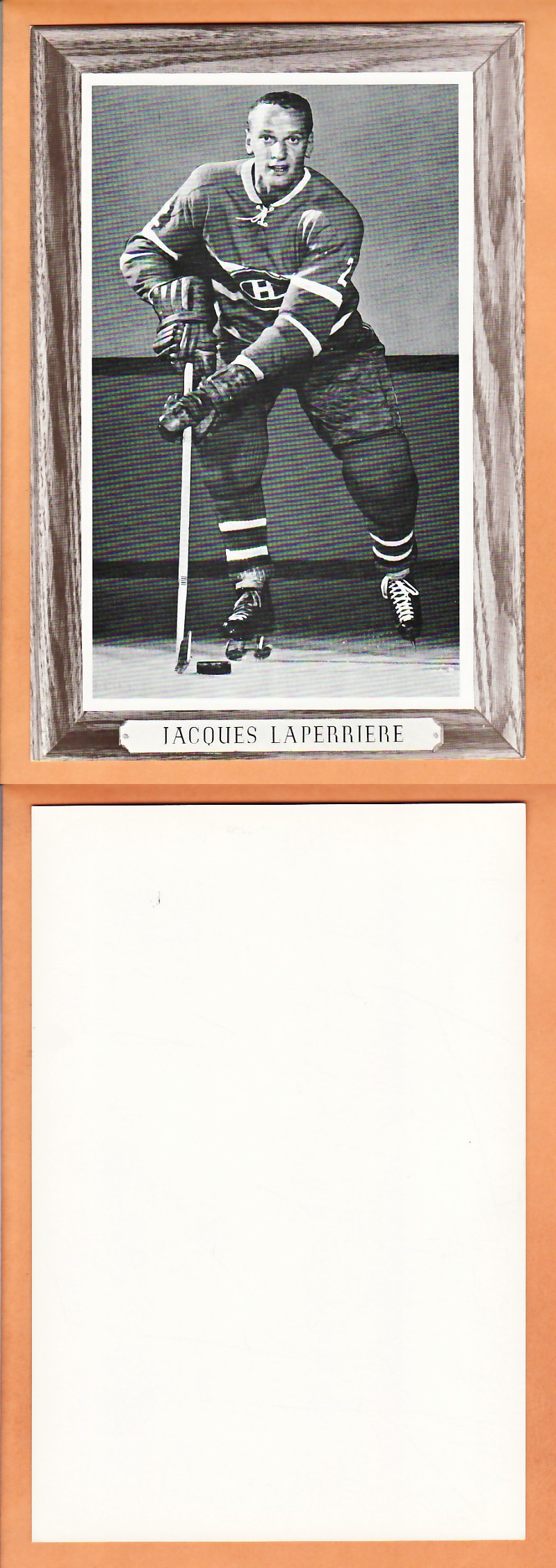 1964-67BEEHIVE PHOTO GR.3 J.LAPERRIERE photo 1964-67BEEHIVE PHOTO GR.3 J.LAPERRIERE photo