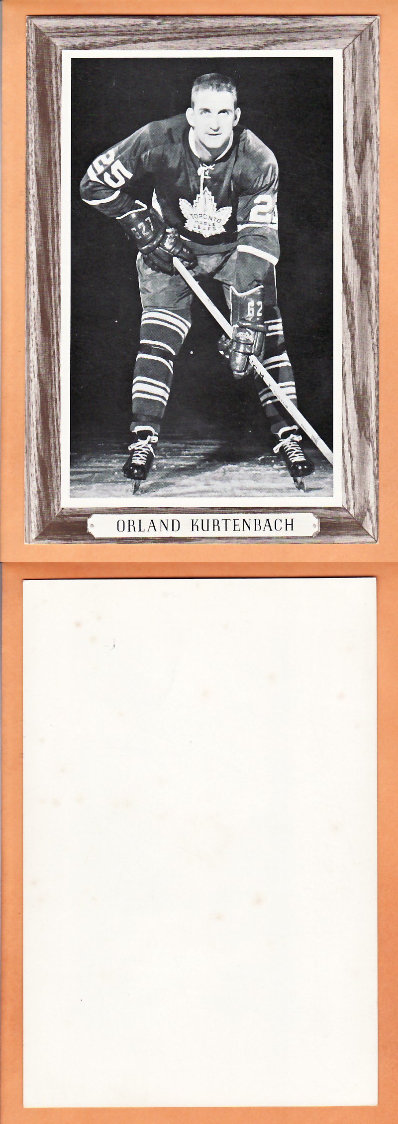 1964-67BEEHIVE PHOTO GR.3 O.KURTENBACH photo 1964-67BEEHIVE PHOTO GR.3 O.KURTENBACH photo