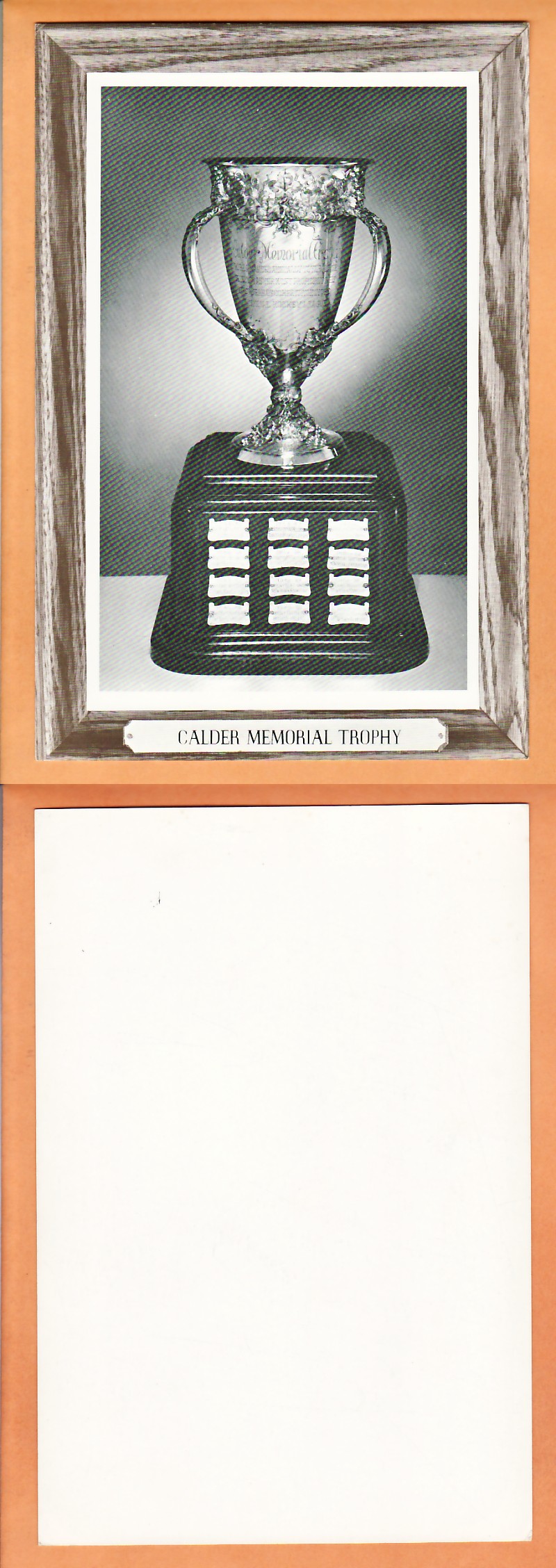 1964-67BEEHIVE PHOTO GR.3 CALDER MEMORIAL *SP* photo 1964-67BEEHIVE PHOTO GR.3 CALDER MEMORIAL *SP* photo