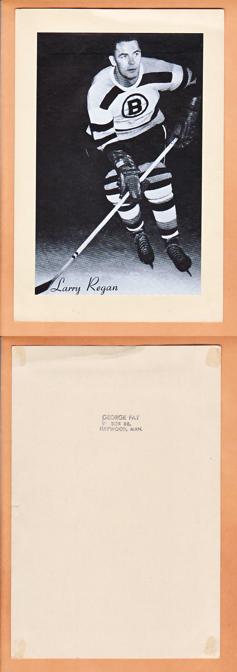 1945-64 BEEHIVE PHOTO GR.2 L.REGAN photo 1945-64 BEEHIVE PHOTO GR.2 L.REGAN photo