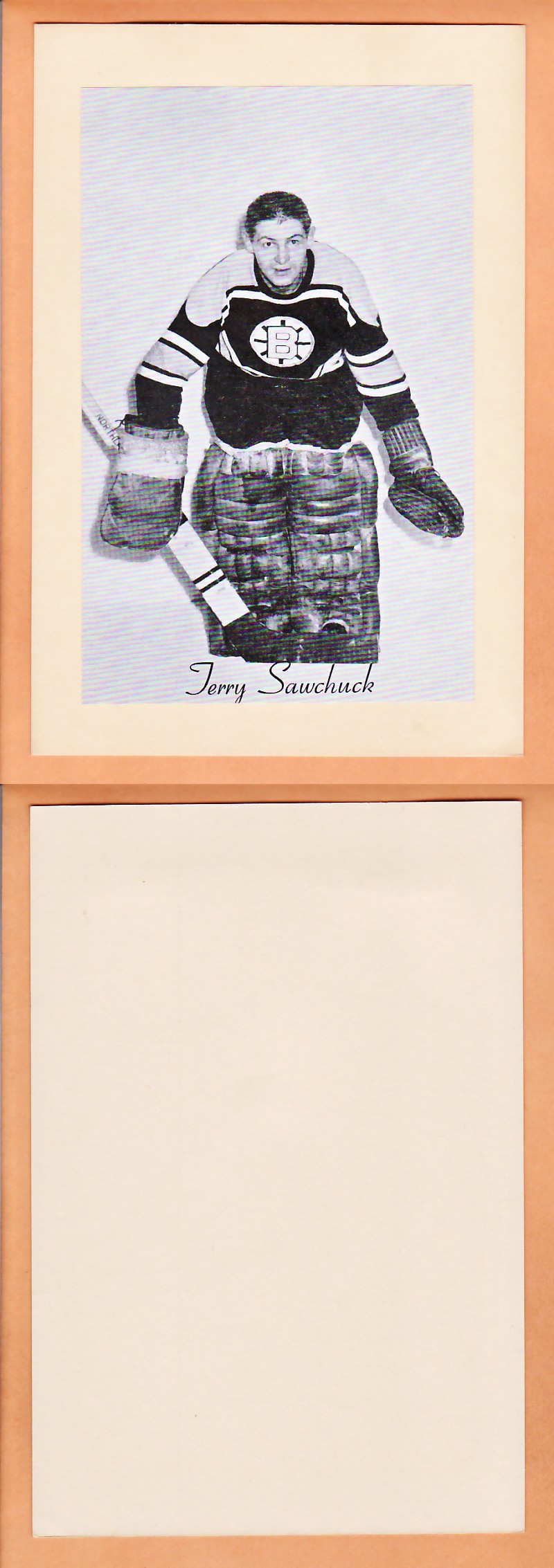 1945-64 BEEHIVE PHOTO GR.2 T.SAWCHUCK *SP* photo 1945-64 BEEHIVE PHOTO GR.2 T.SAWCHUCK *SP* photo