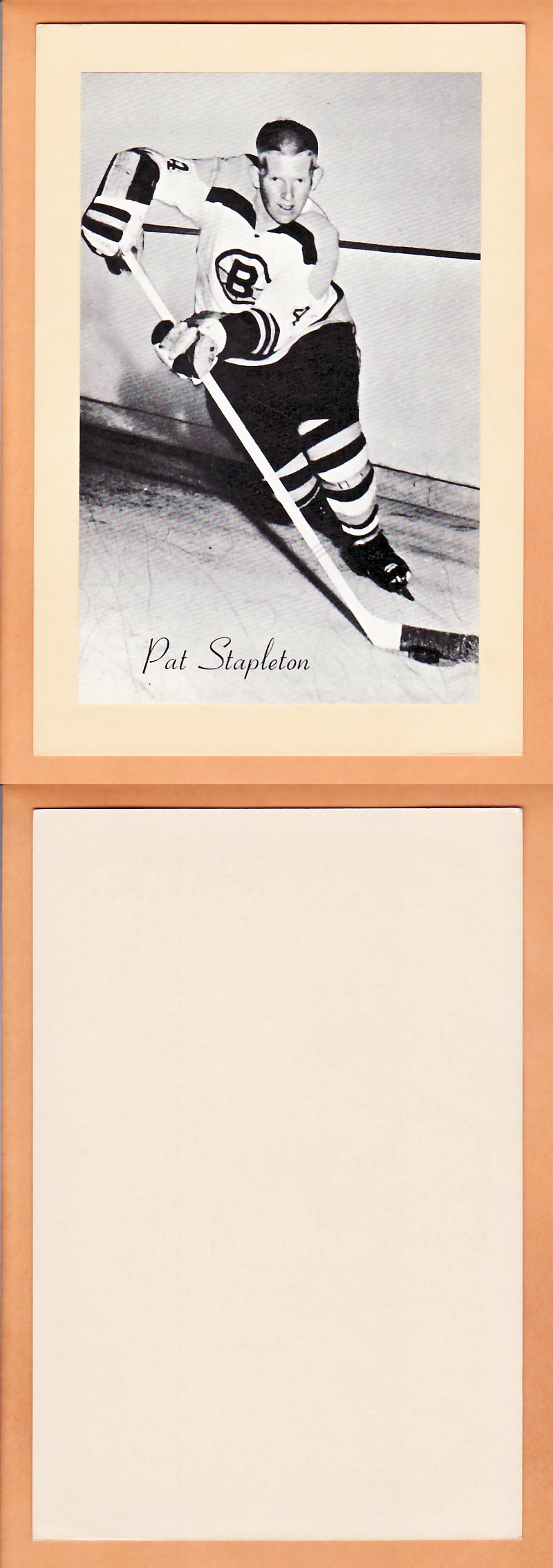 1945-64 BEEHIVE PHOTO GR.2 P.STAPLETON photo 1945-64 BEEHIVE PHOTO GR.2 P.STAPLETON photo