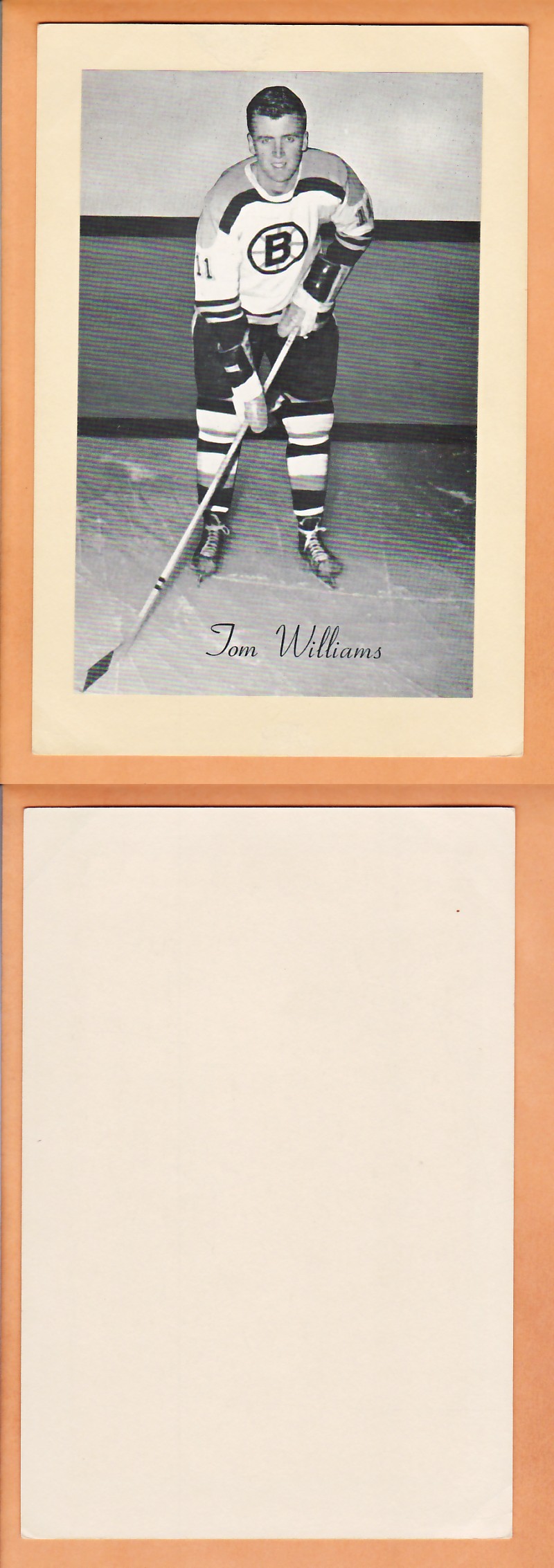 1945-64 BEEHIVE PHOTO GR.2 T.WILLIAMS photo 1945-64 BEEHIVE PHOTO GR.2 T.WILLIAMS photo