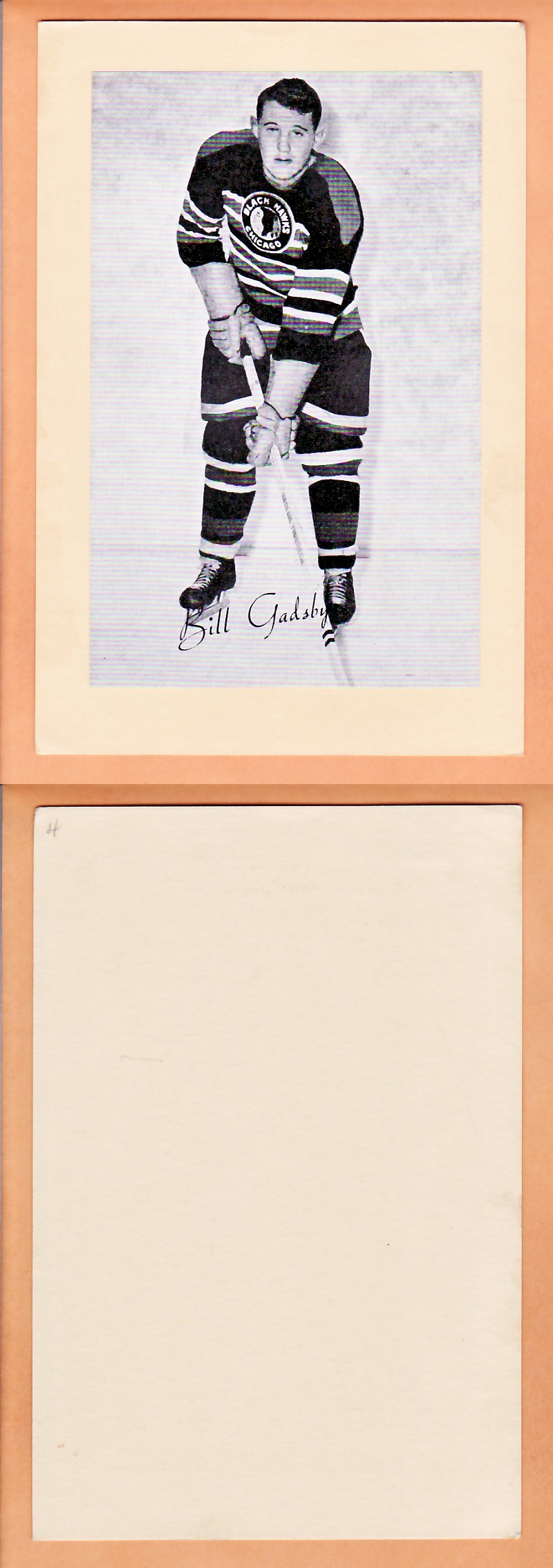 1945-64 BEEHIVE PHOTO GR.2 B.GADSBY photo 1945-64 BEEHIVE PHOTO GR.2 B.GADSBY photo