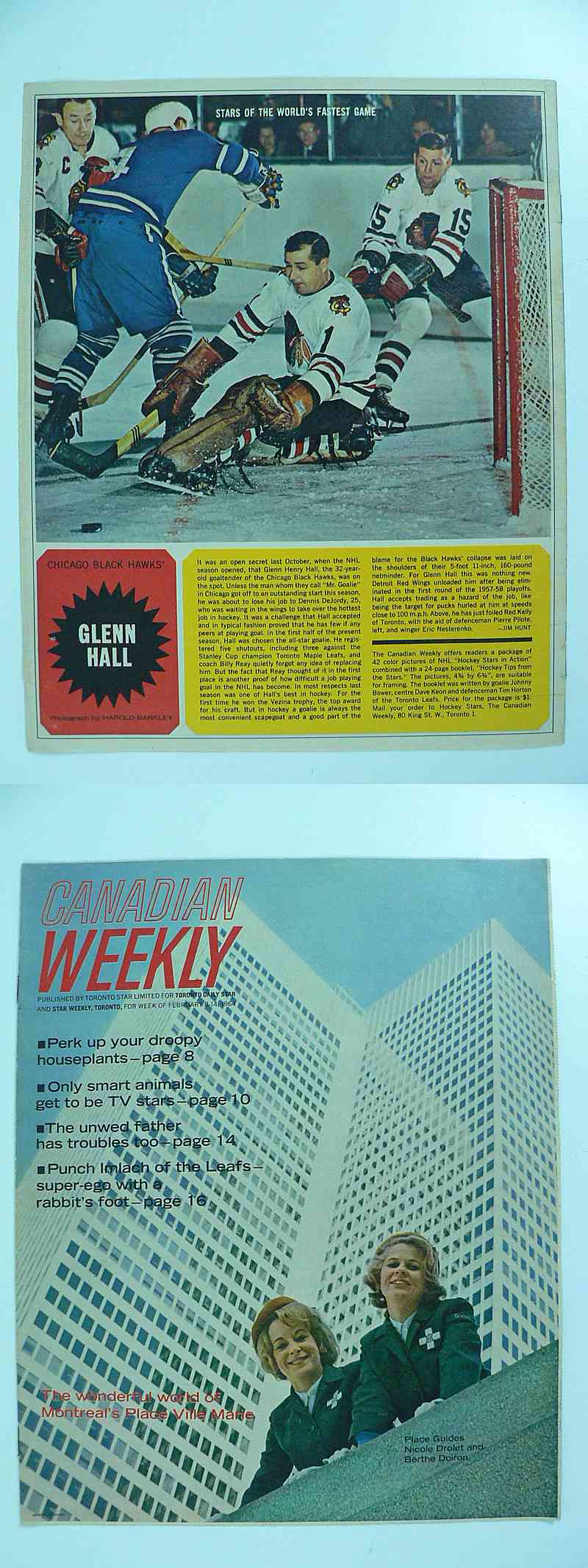 1963-64 TORONTO STAR FULL MAGAZINE G.HALL POSTER photo 1963-64 TORONTO STAR FULL MAGAZINE G.HALL POSTER photo