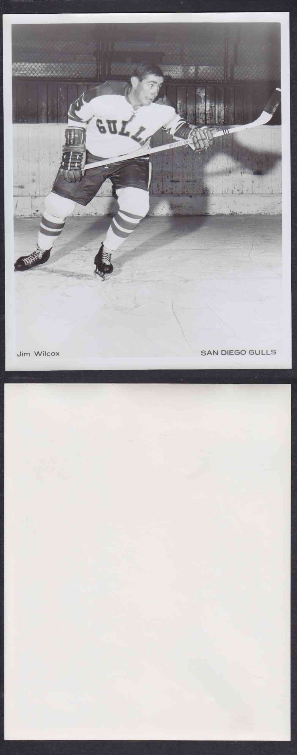 1960'S SAN DIEGO GULLS PHOTO J. WILCOX photo 1960'S SAN DIEGO GULLS PHOTO J. WILCOX photo
