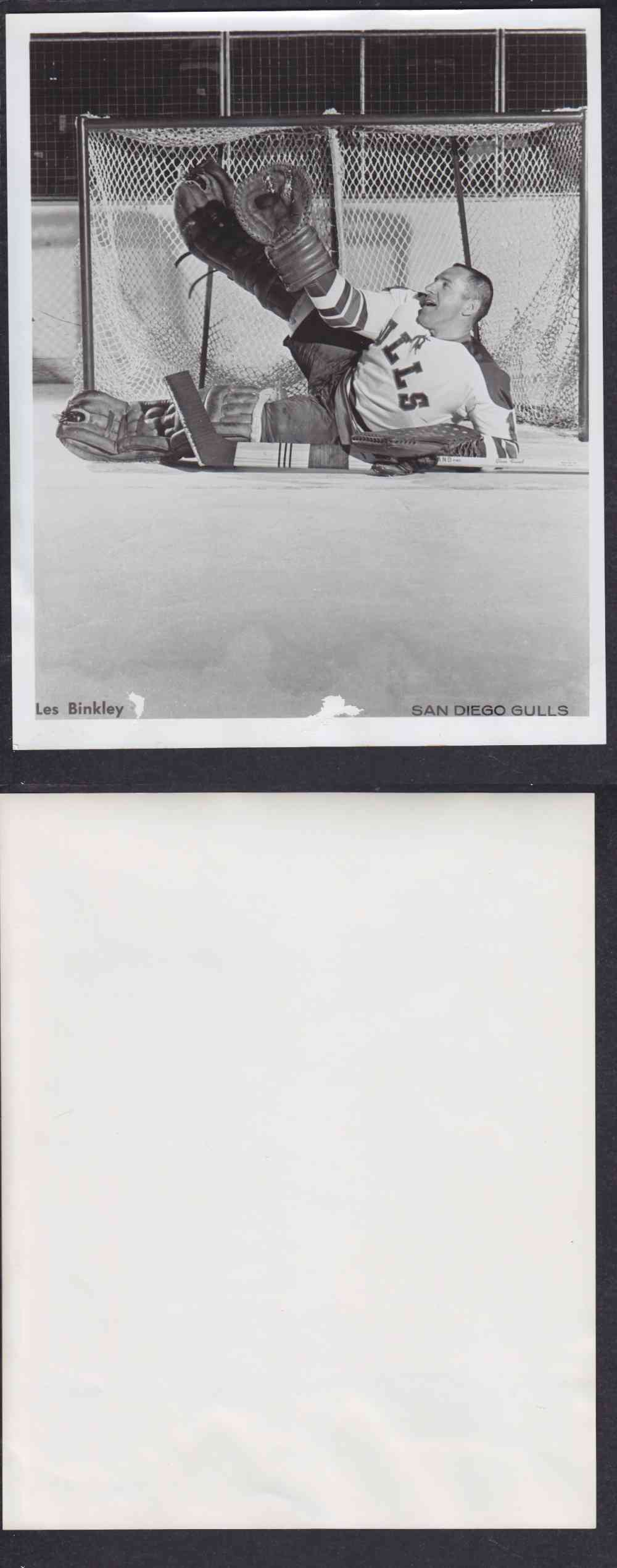 1960'S SAN DIEGO GULLS PHOTO L. BINKLEY photo 1960'S SAN DIEGO GULLS PHOTO L. BINKLEY photo