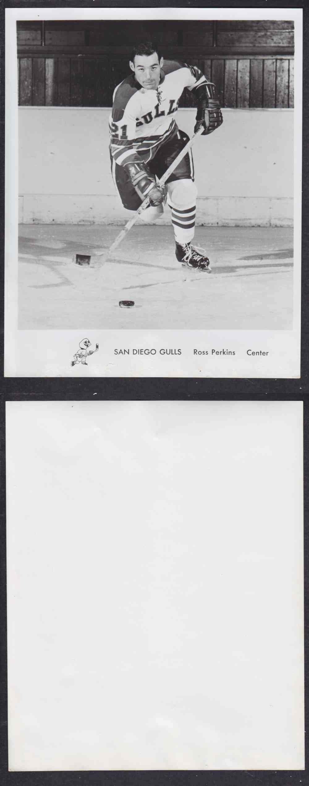 1960'S SAN DIEGO GULLS PHOTO R. PERKINS photo