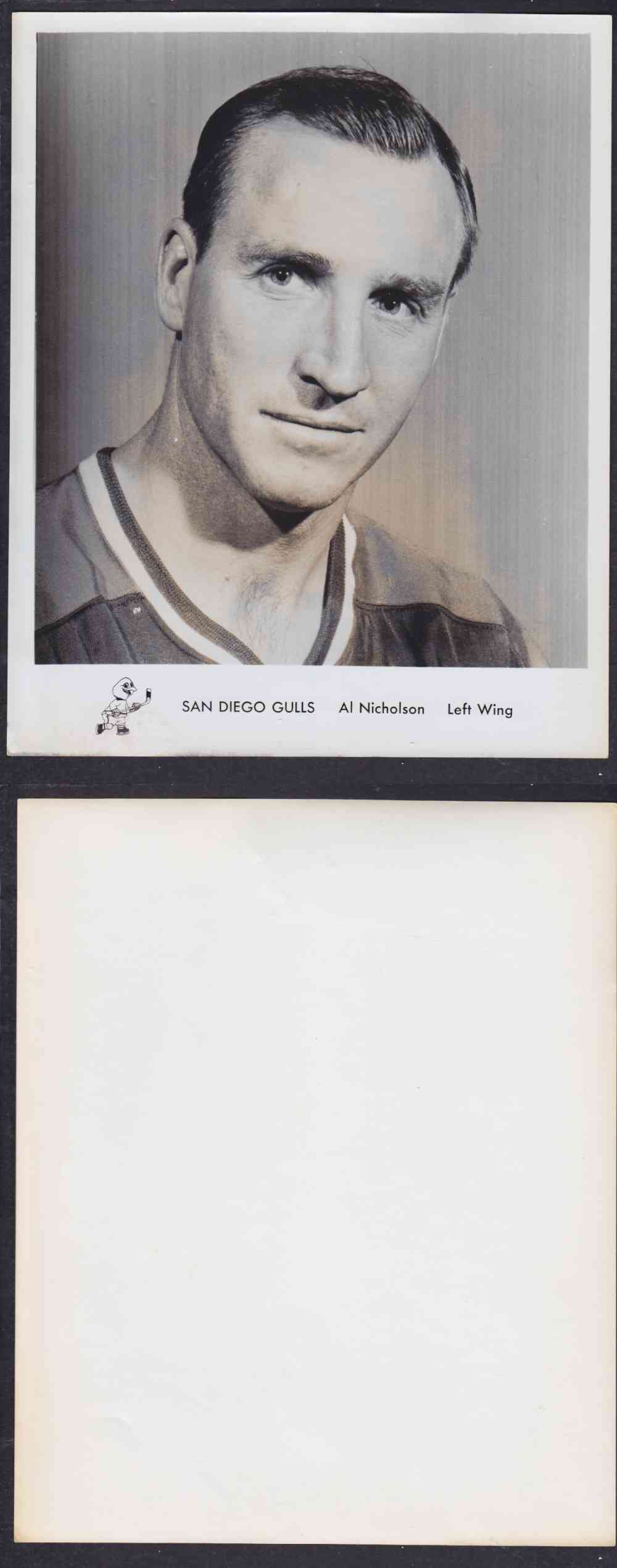 1960'S SAN DIEGO GULLS PHOTO A. NICHOLSON photo