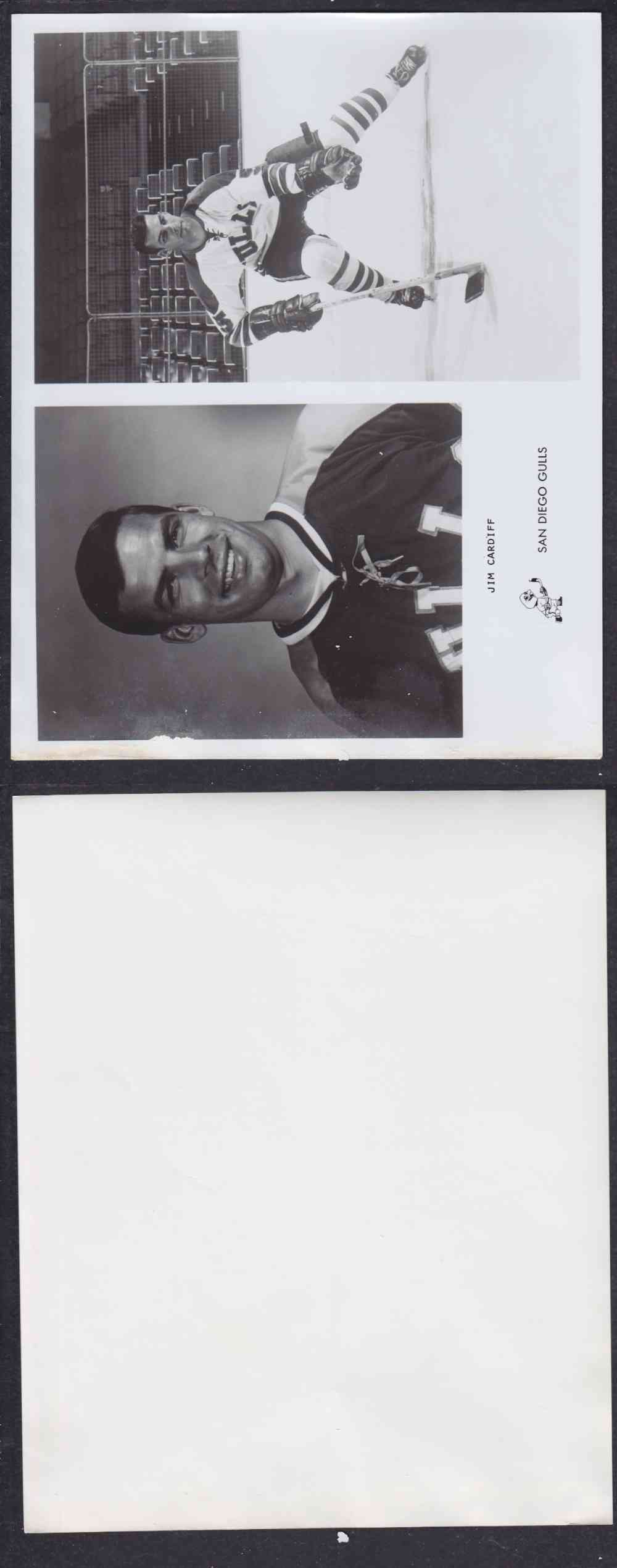 1960'S SAN DIEGO GULLS PHOTO J. CARDIFF photo 1960'S SAN DIEGO GULLS PHOTO J. CARDIFF photo