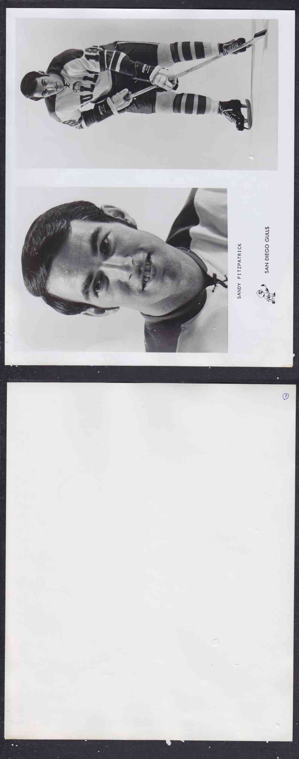 1960'S SAN DIEGO GULLS PHOTO S. FITZPATRICK photo 1960'S SAN DIEGO GULLS PHOTO S. FITZPATRICK photo
