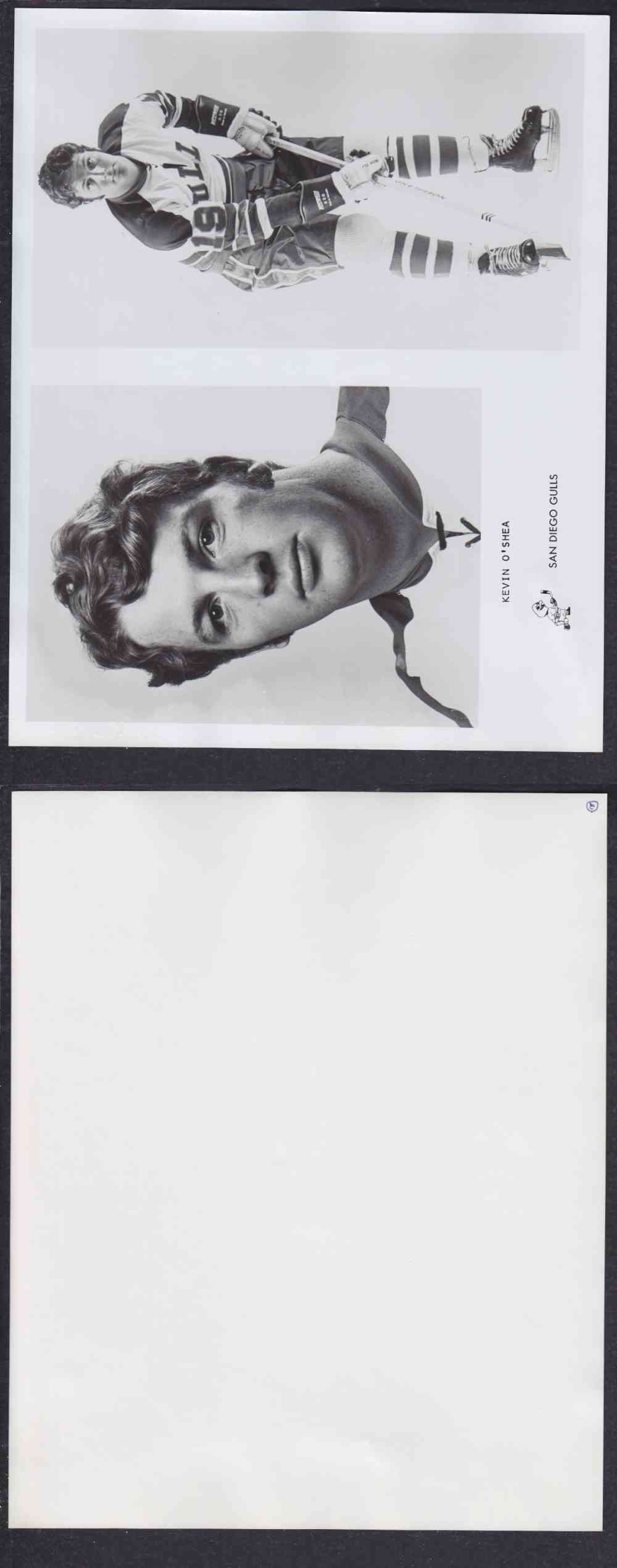 1960'S SAN DIEGO GULLS PHOTO K. O'SHEA photo 1960'S SAN DIEGO GULLS PHOTO K. O'SHEA photo