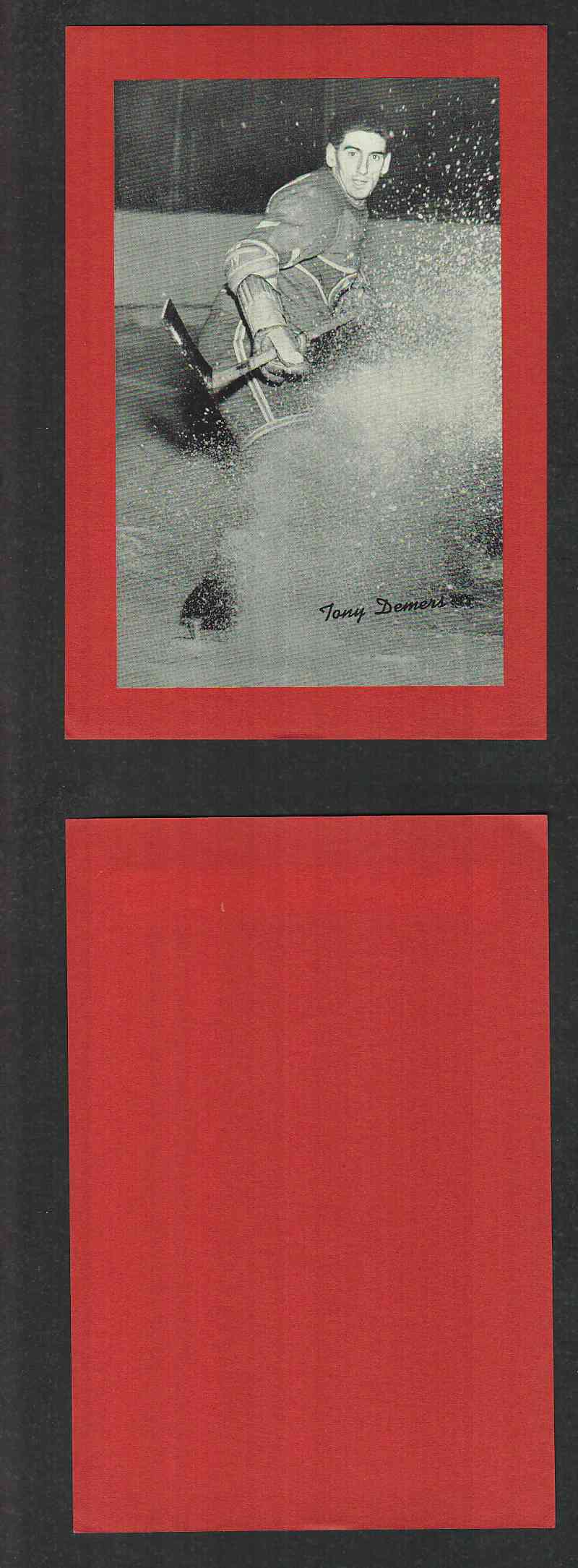 1934-43 BEEHIVES PHOTO GR.1 T. DEMERS photo 1934-43 BEEHIVES PHOTO GR.1 T. DEMERS photo