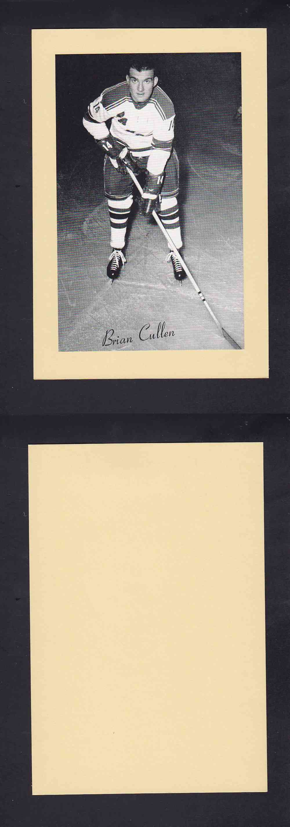 1945-64 BEEHIVE PHOTO GR.2 B. CULLEN photo 1945-64 BEEHIVE PHOTO GR.2 B. CULLEN photo
