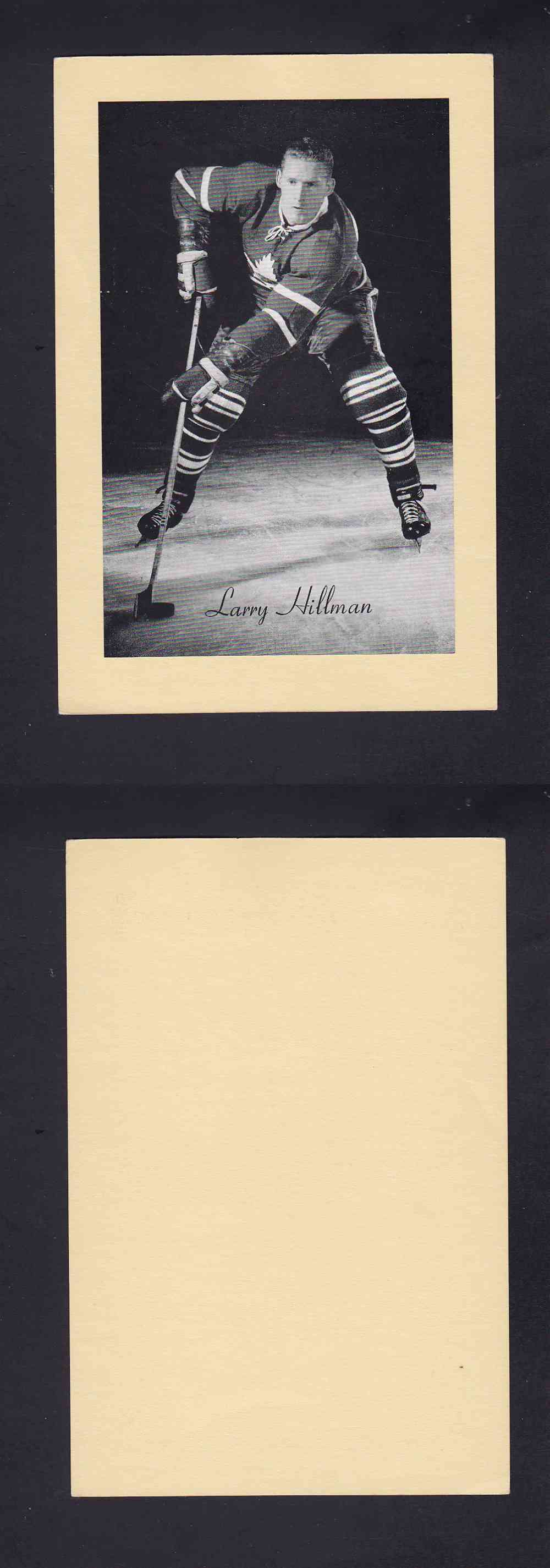 1945-64 BEEHIVE PHOTO GR.2 L. HILLMAN photo 1945-64 BEEHIVE PHOTO GR.2 L. HILLMAN photo