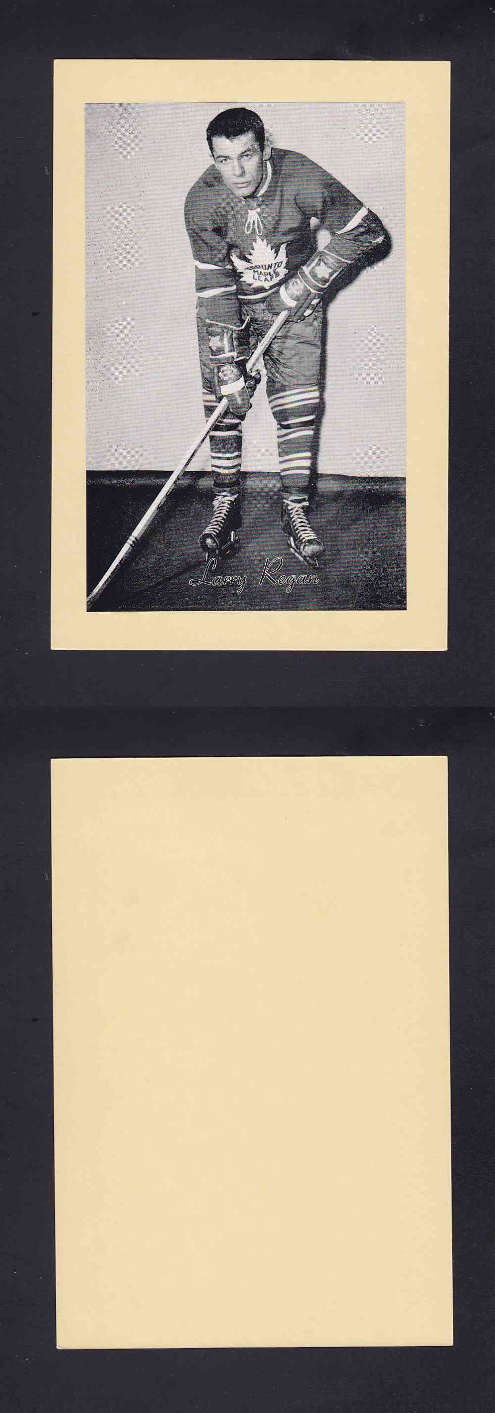 1945-64 BEEHIVE PHOTO GR.2 L. REGAN photo 1945-64 BEEHIVE PHOTO GR.2 L. REGAN photo