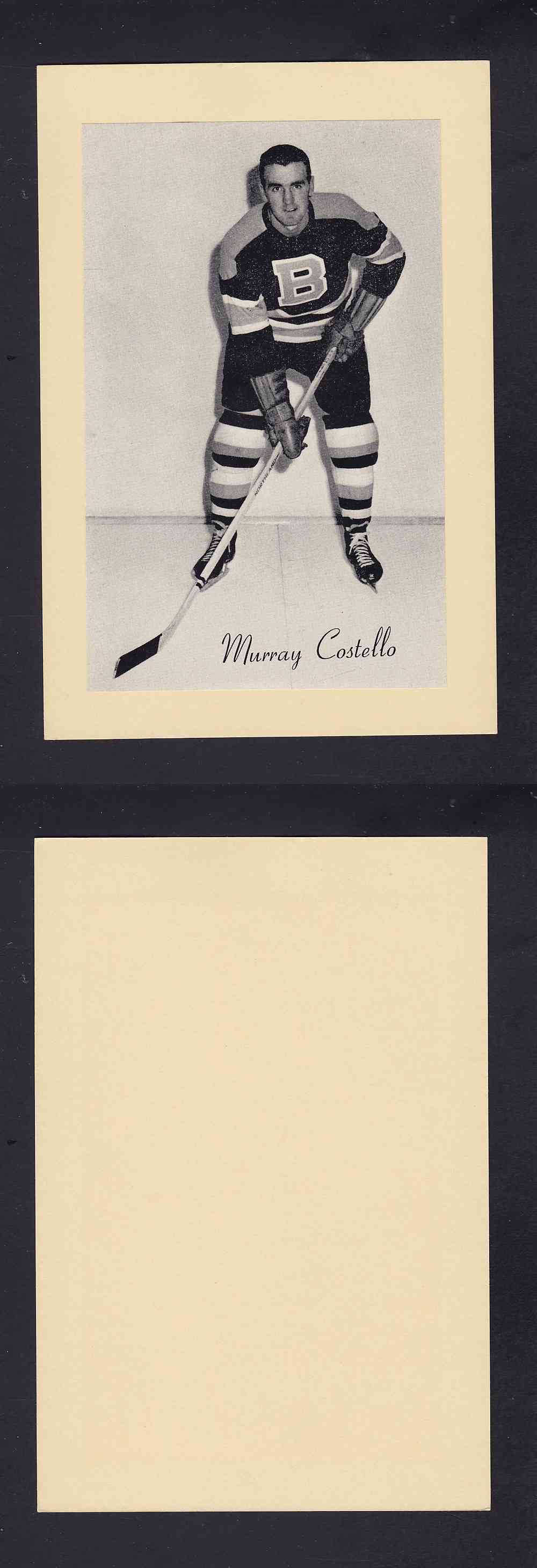 1945-64 BEEHIVE PHOTO GR.2 M. COSTELLO photo 1945-64 BEEHIVE PHOTO GR.2 M. COSTELLO photo