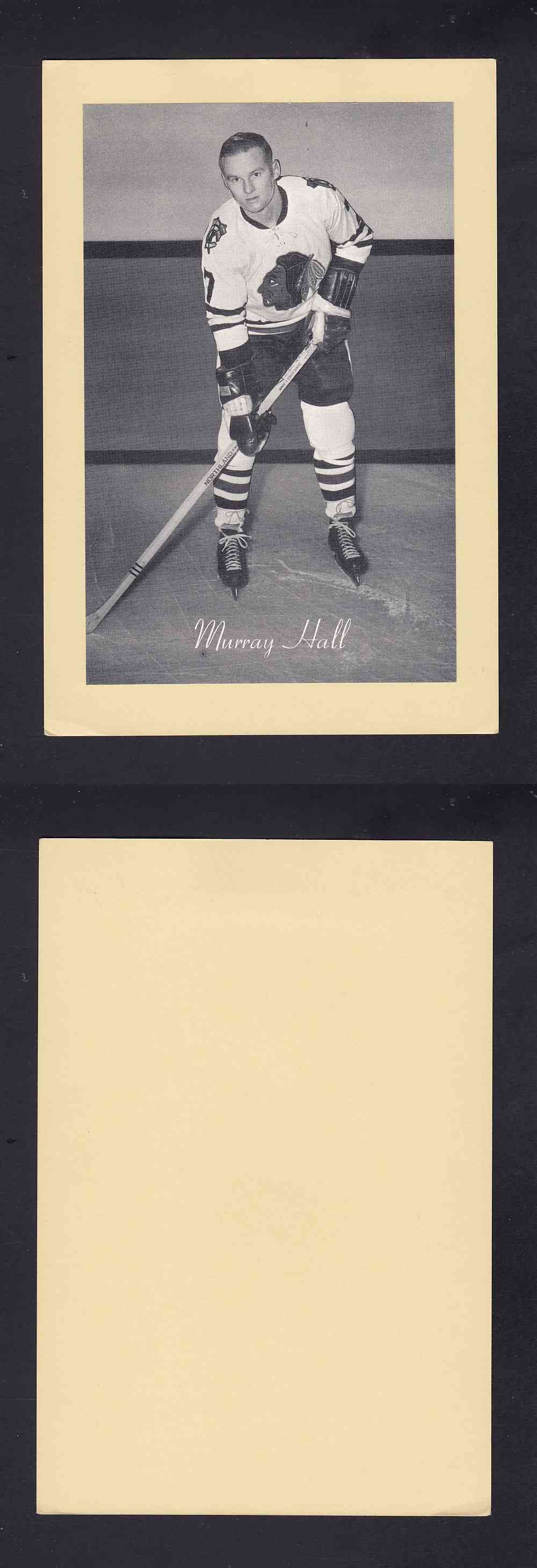 1945-64 BEEHIVE PHOTO GR.2 M. HALL photo 1945-64 BEEHIVE PHOTO GR.2 M. HALL photo