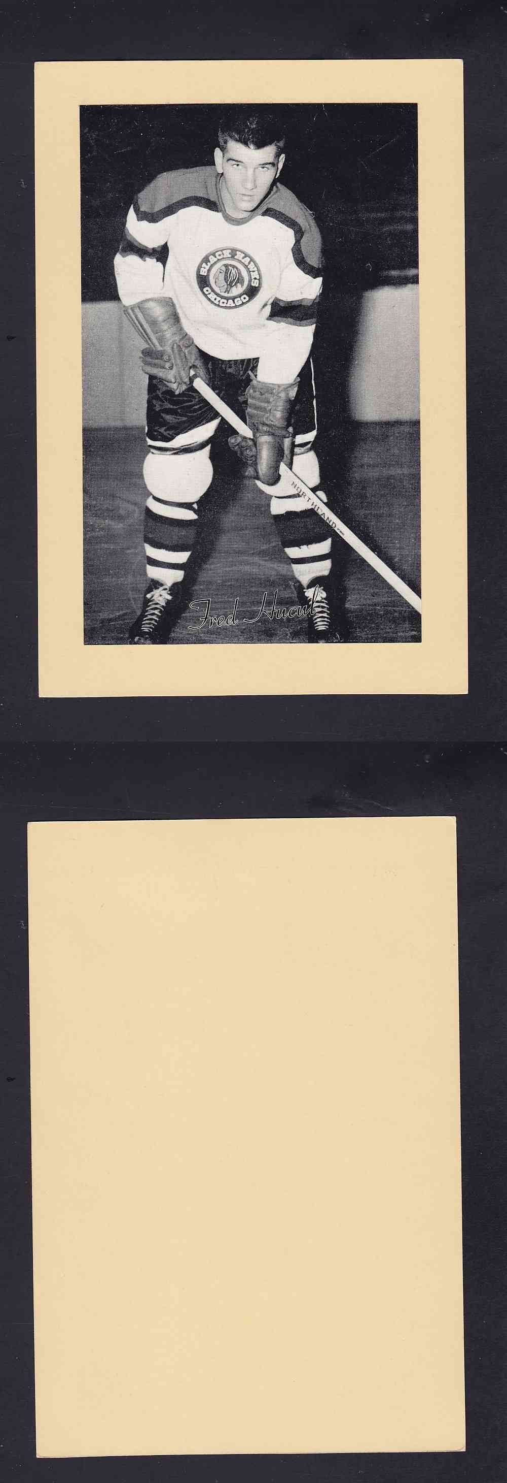 1945-64 BEEHIVE PHOTO GR.2 F. HUCUL photo 1945-64 BEEHIVE PHOTO GR.2 F. HUCUL photo