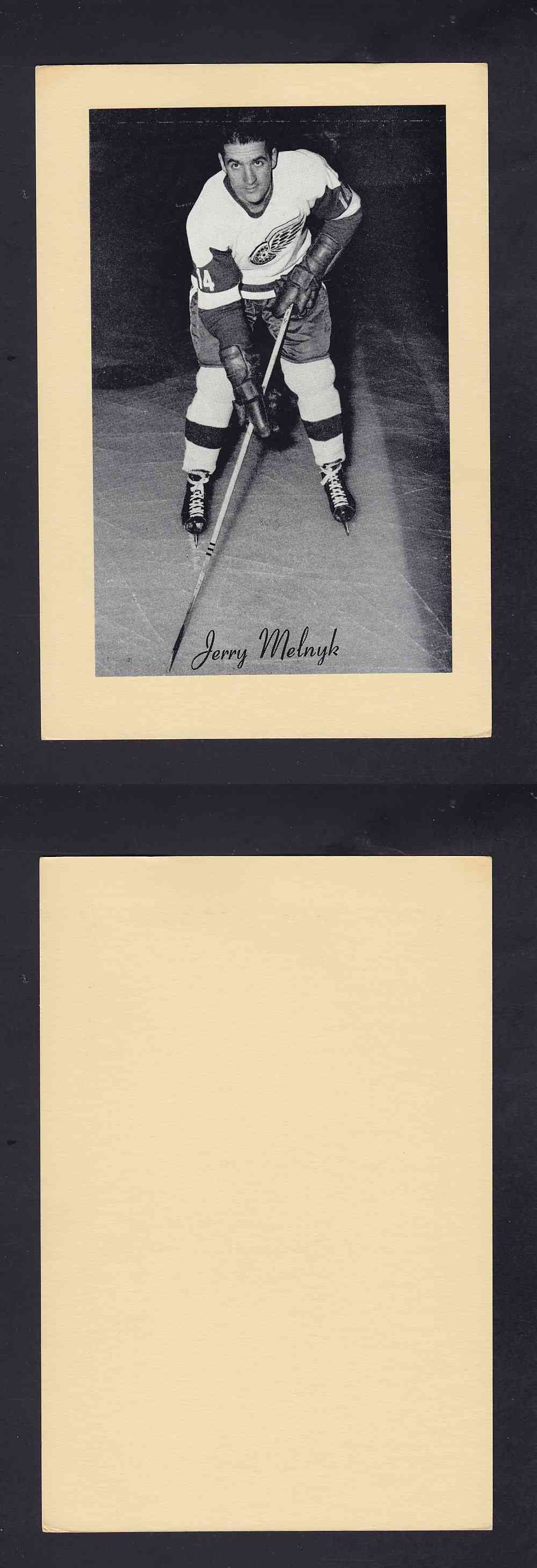 1945-64 BEEHIVE PHOTO GR.2 J. MELNYK photo 1945-64 BEEHIVE PHOTO GR.2 J. MELNYK photo