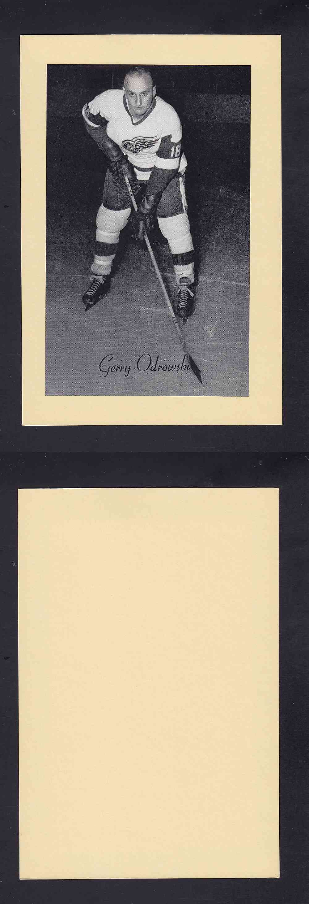 1945-64 BEEHIVE PHOTO GR.2 G. ODROWSKI photo 1945-64 BEEHIVE PHOTO GR.2 G. ODROWSKI photo