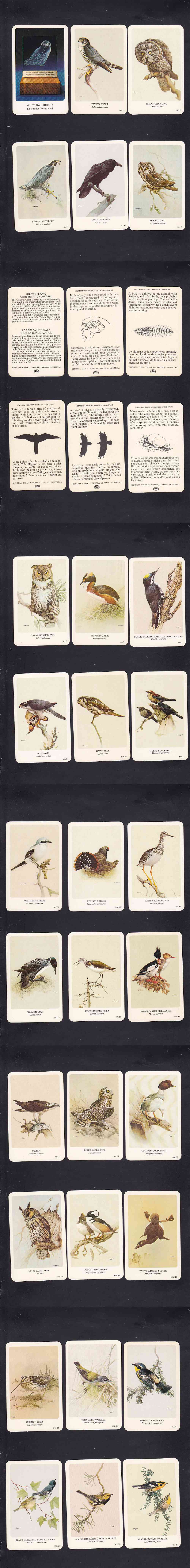 1962 GENERAL CIGAR NORTHERN BIRDS CARD FULL SET 37/37 photo