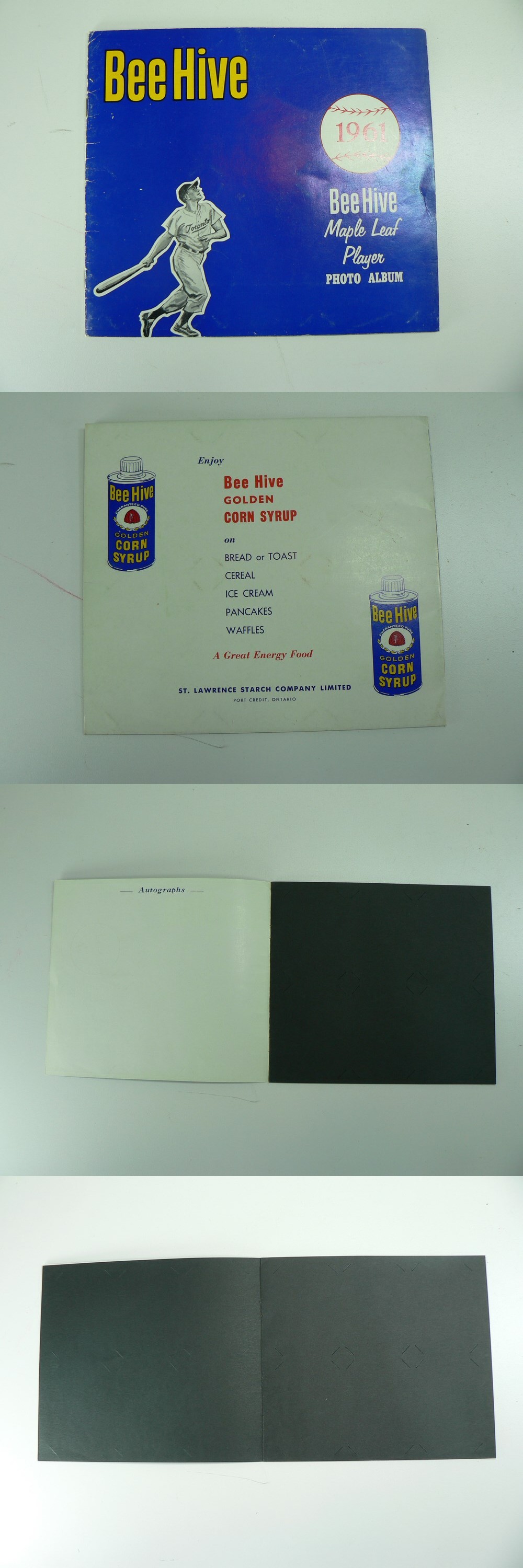 1961 BEEHIVE MAPLE LEAF BASEBALL CARD ALBUM photo