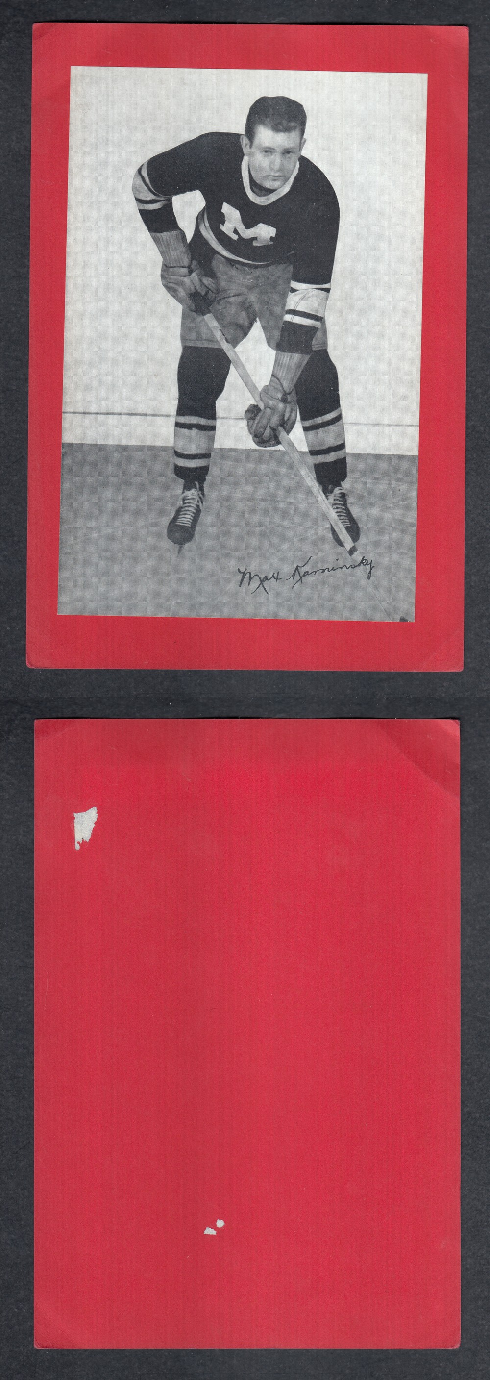 1934-45 BEEHIVE PHOTO GR. 1 M. KAMINSKY photo 1934-45 BEEHIVE PHOTO GR. 1 M. KAMINSKY photo