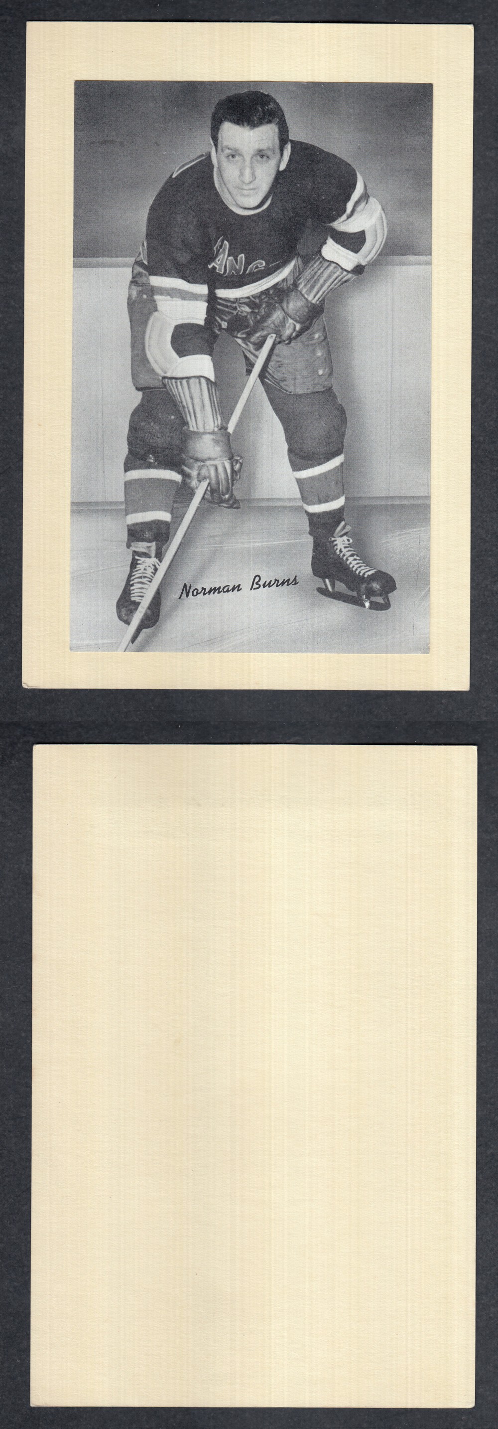 1934-45 BEEHIVE PHOTO GR. 1 N. BURNS photo 1934-45 BEEHIVE PHOTO GR. 1 N. BURNS photo