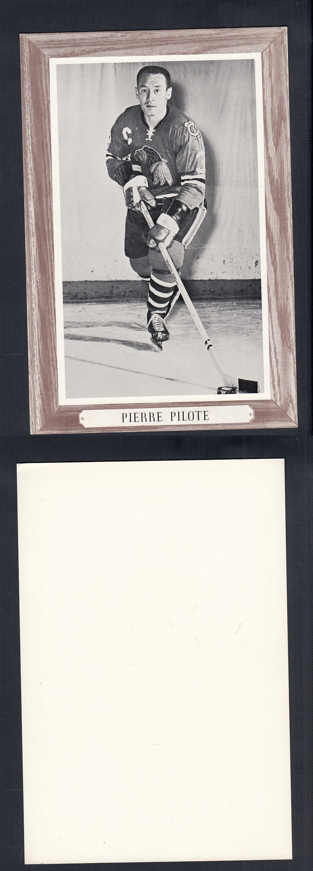 1964-67 BEEHIVE PHOTO GR.3 P. PILOTE *SP* photo 1964-67 BEEHIVE PHOTO GR.3 P. PILOTE *SP* photo